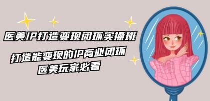 《医美IP打造-变现闭环实操班》打造能变现的IP商业闭环插图