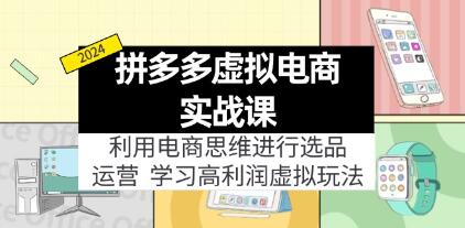 《拼多多虚拟电商实战课》选品+运营，高利润虚拟玩法插图