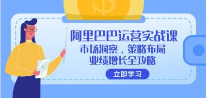 《阿里巴巴运营实战课》1688市场洞察、策略布局、业绩增长全攻略插图