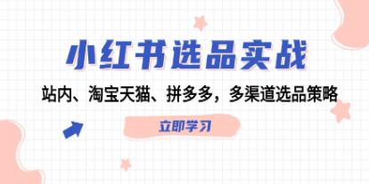 《小红书选品实战》站内、淘宝天猫、拼多多，多渠道选品策略